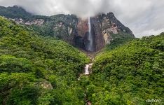 Angel Falls