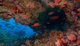 Underwater cave