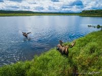 Kronotskoye Lake, Kamchatka, Russia Kronotskoye Lake, Kamchatka, Russia