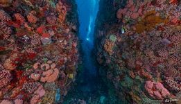 Underwater cave, Komodo, Indonesia