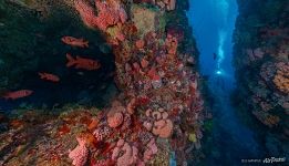 Underwater cave, Komodo, Indonesia