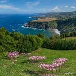 Nature of São Miguel Island