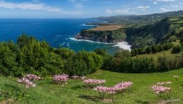 Northern part of São Miguel Island