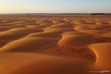 Sands of Sahara