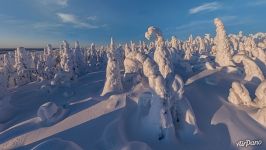 Winter in Lapland