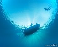 Tubbataha Reef, Philippines