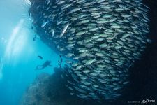 Raja Ampat, Indonesia