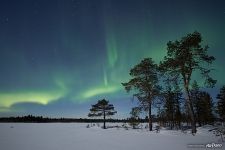 Northern lights on the Kola Peninsula