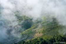 Rice Terraces