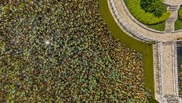 Above the pond of the Confucian Temple, Jianshui County