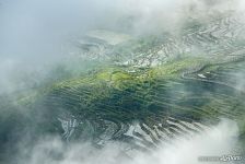 Rice Terraces