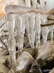 Picturesque icicles Picturesque icicles