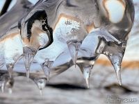 Bizarre forms of Danube ice