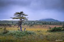 Nature of Iturup island