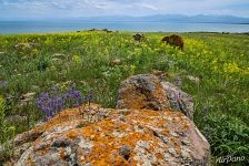 Landscapes of Lake Sevan