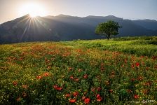 Nature of Armenia