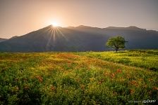 Armenian Landscapes