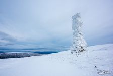 Lonely pillar