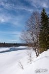 Pechora river, Shezhim-Pechorsky cordon 4