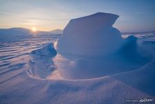 Snow forms #4