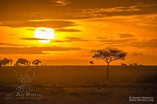 Sunset in Maasai Mara Sunset in Maasai Mara