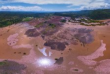 Flamingo, Kenya, Lake Bogoria #25