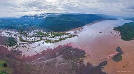 Flamingo, Kenya, Lake Bogoria #2