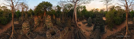 Ta Prohm temple #18