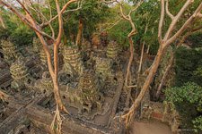 Ta Prohm temple #12