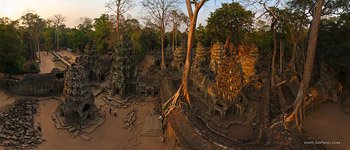 Ta Prohm temple #17