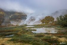 Valley of Geysers, Kamchatka #13