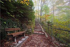 Germany, in the park of the Neuschwanstein Castle