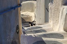 Santorini (Thira), Oia, Greece #49