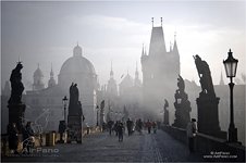 Prague #15